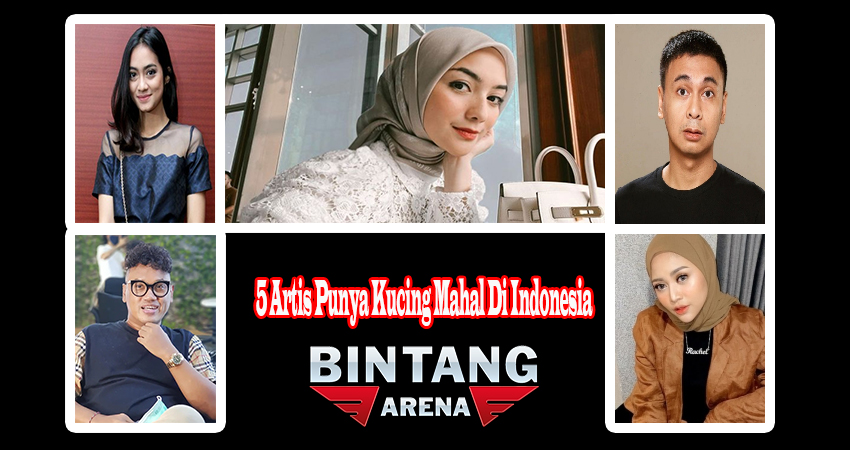 5 Artis Punya Kucing Mahal Di Indonesia